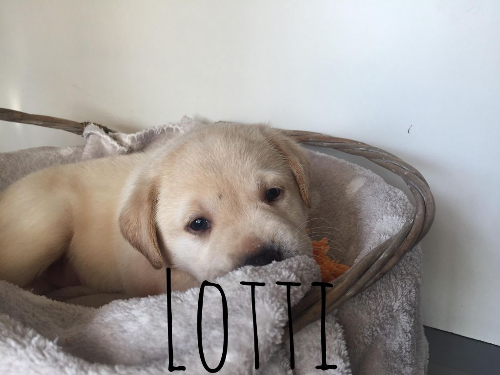 Lotti.JPG