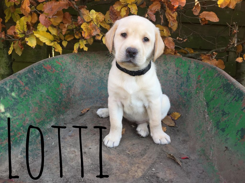 Lotti.JPG
