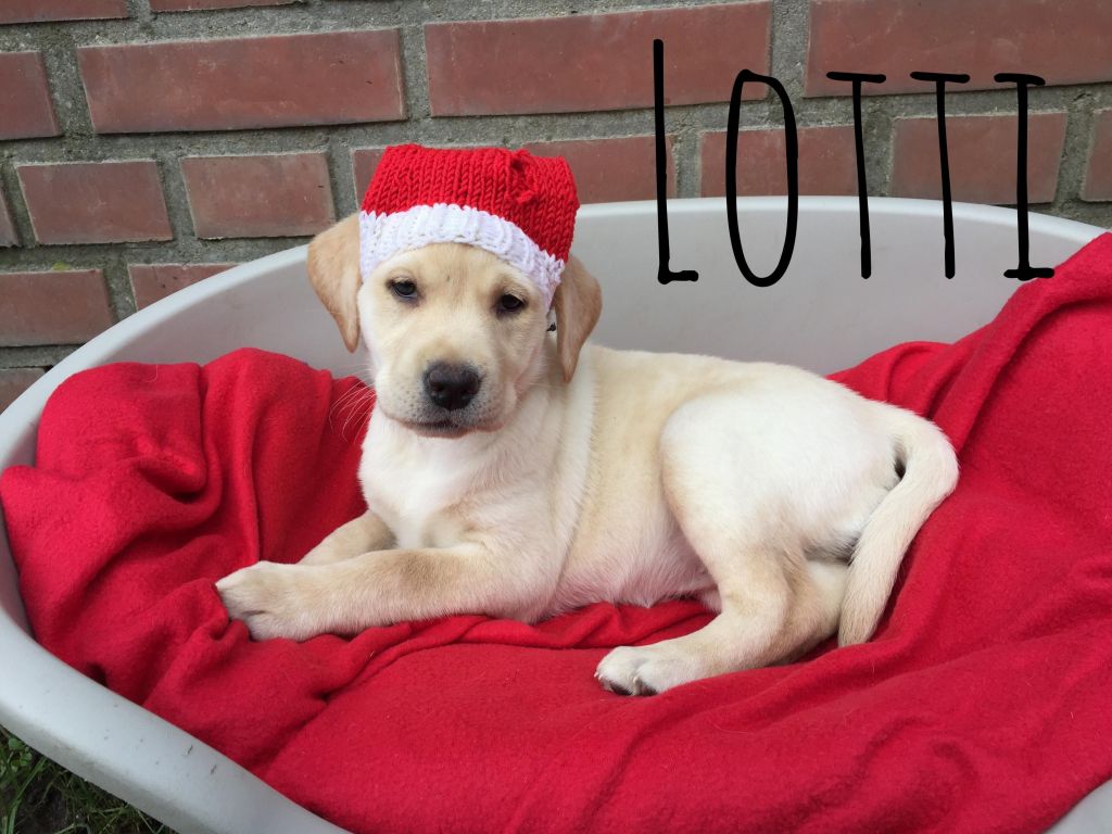 Lotti.JPG