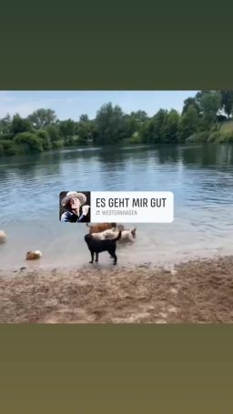 FB_VID_9080179838932367290.mp4