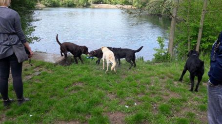 IMG-20170506-WA0007.jpg