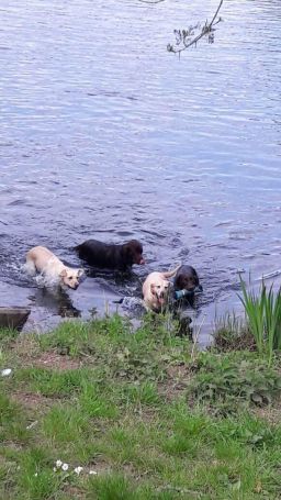 IMG-20170506-WA0013.jpg