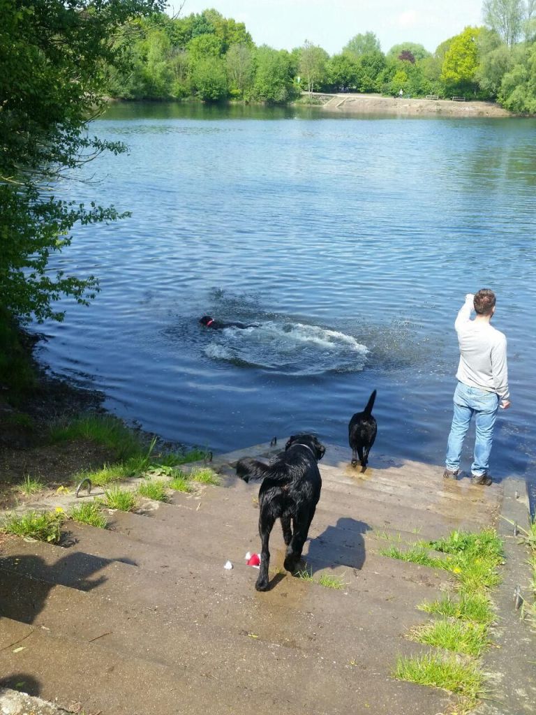 IMG-20170506-WA0031.jpg