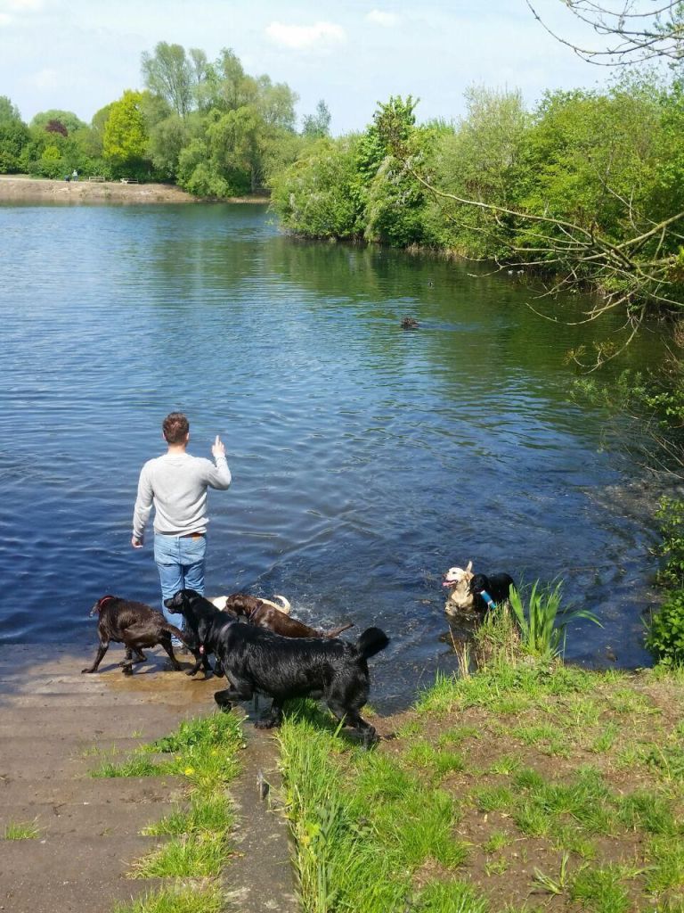 IMG-20170506-WA0033.jpg