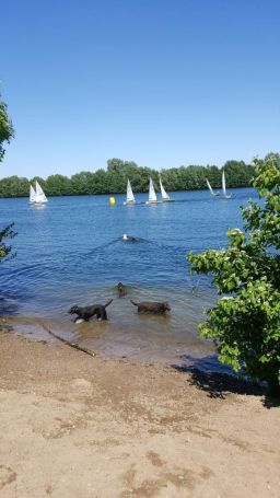 IMG-20170528-WA0011.jpg