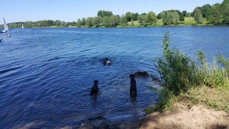 IMG-20170528-WA0014.jpg