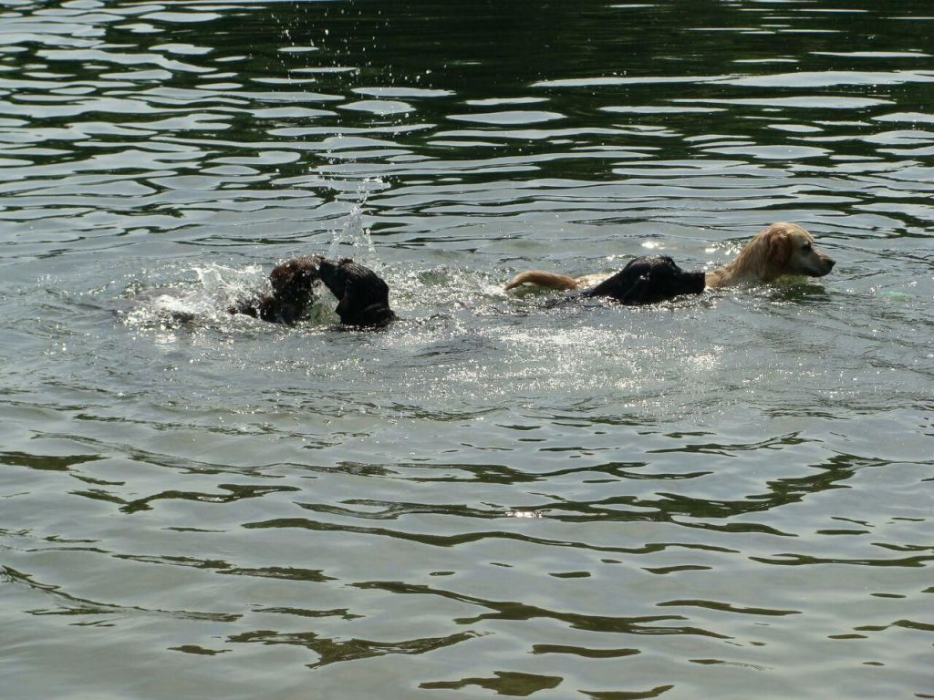 IMG-20170528-WA0036.jpg