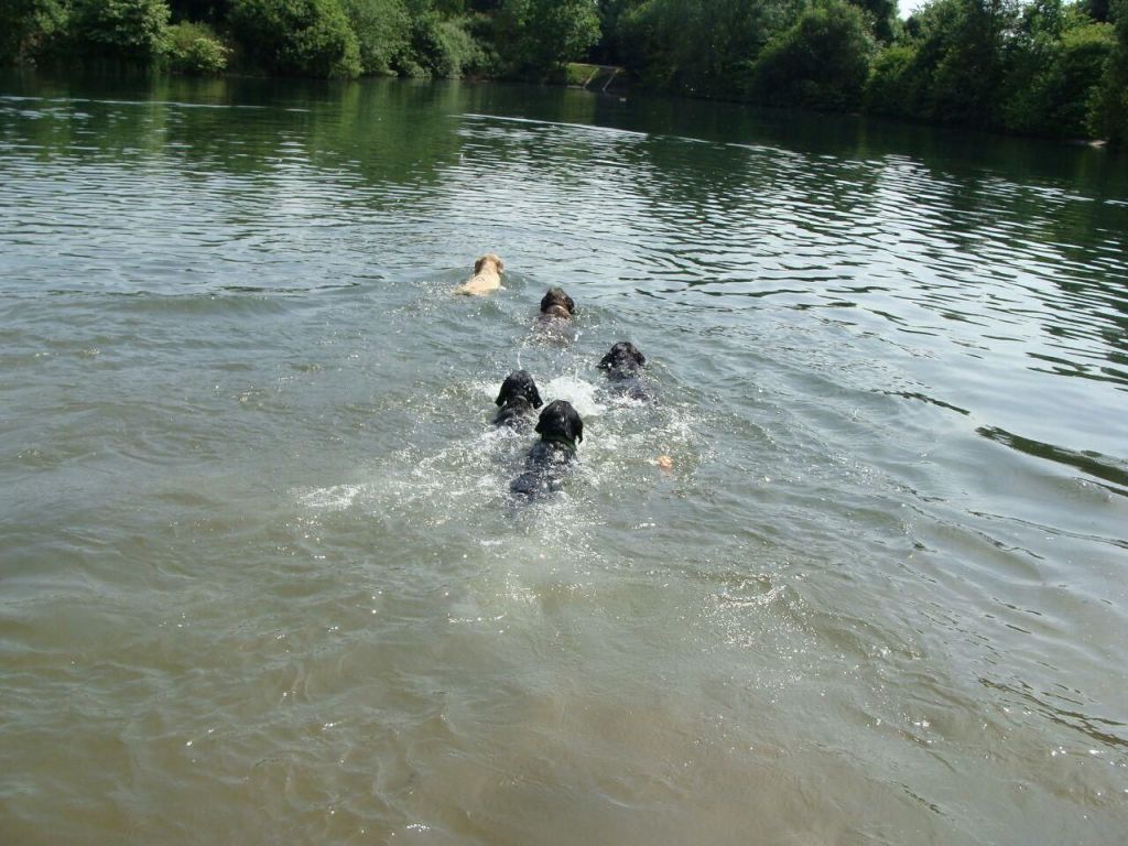 IMG-20170528-WA0038.jpg