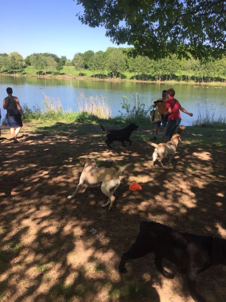 IMG-20180507-WA0002.jpg
