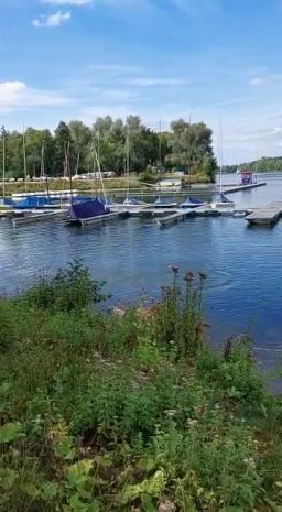 VID-20220821-WA0043.mp4