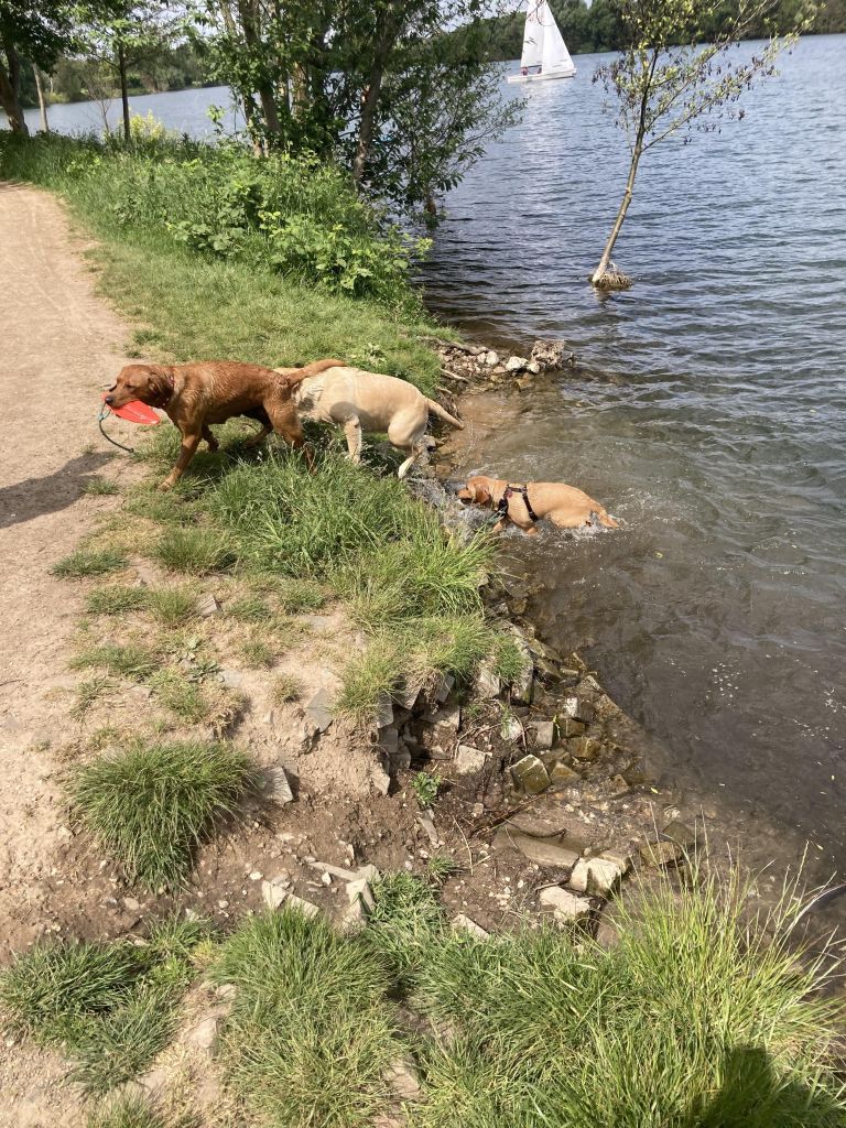 IMG_0627.jpeg