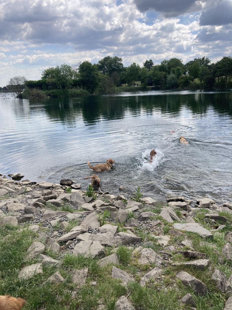 IMG_0630.jpeg