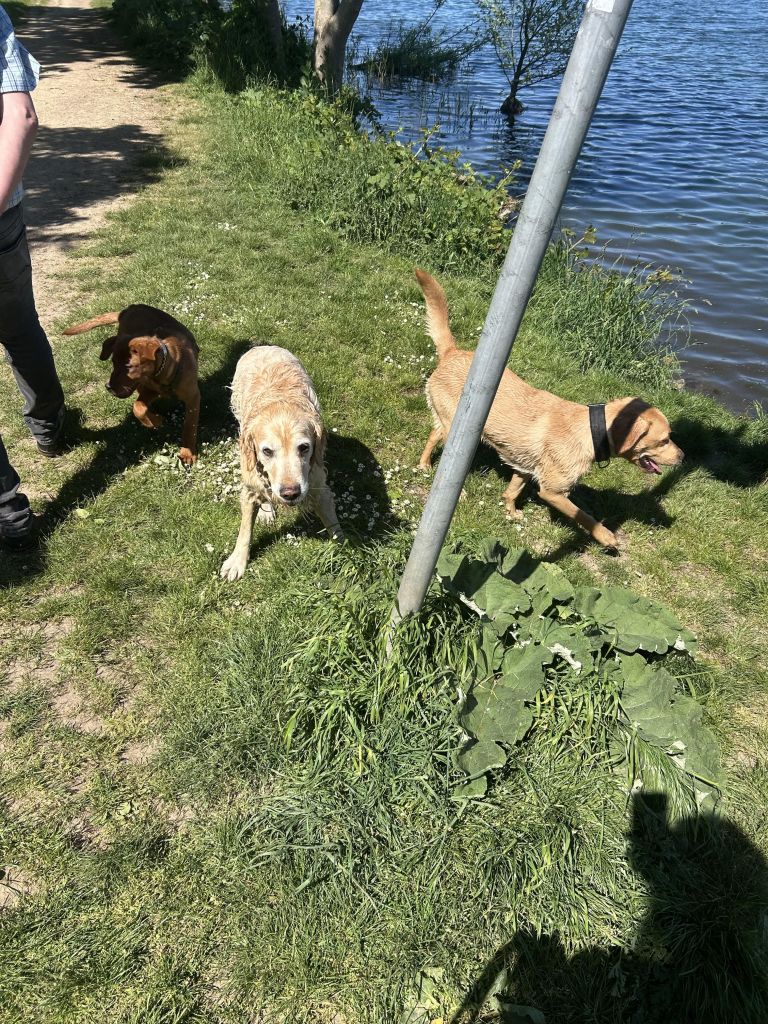 IMG_5043.jpeg