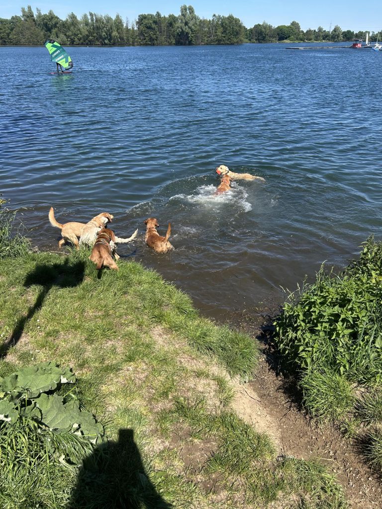 IMG_5047.jpeg