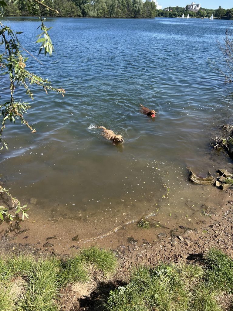IMG_5049.jpeg