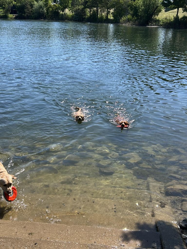 IMG_5051.jpeg