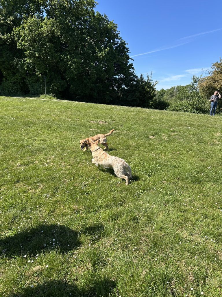 IMG_5053.jpeg