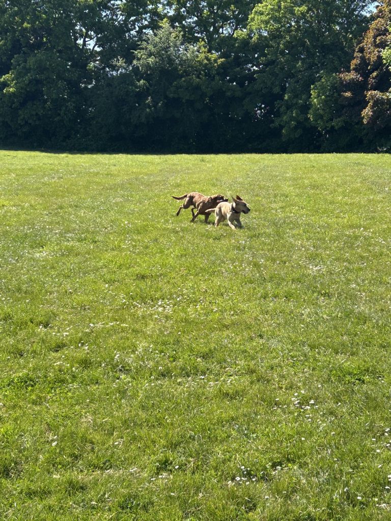 IMG_5055.jpeg