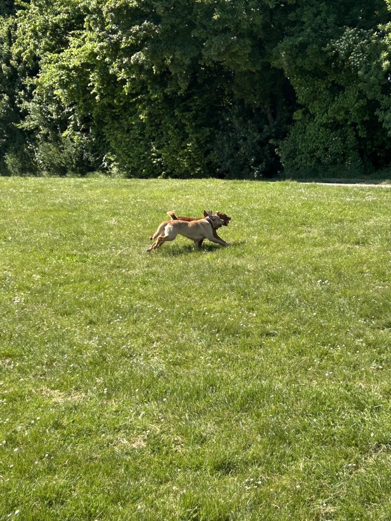 IMG_5056.jpeg