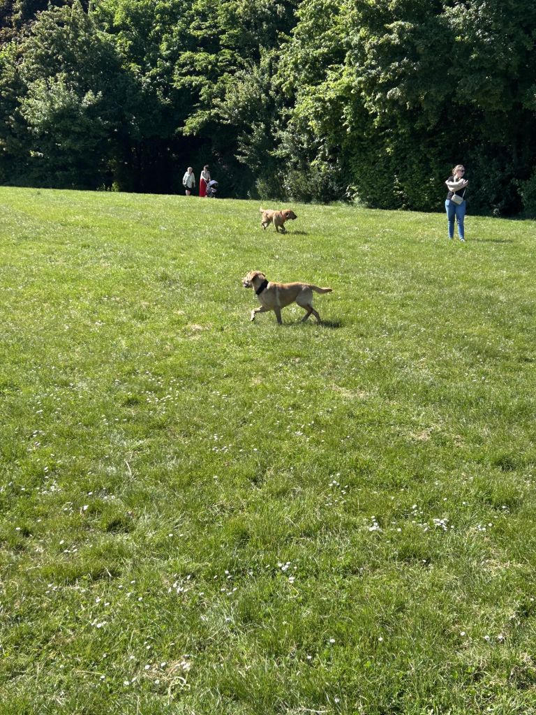 IMG_5058.jpeg