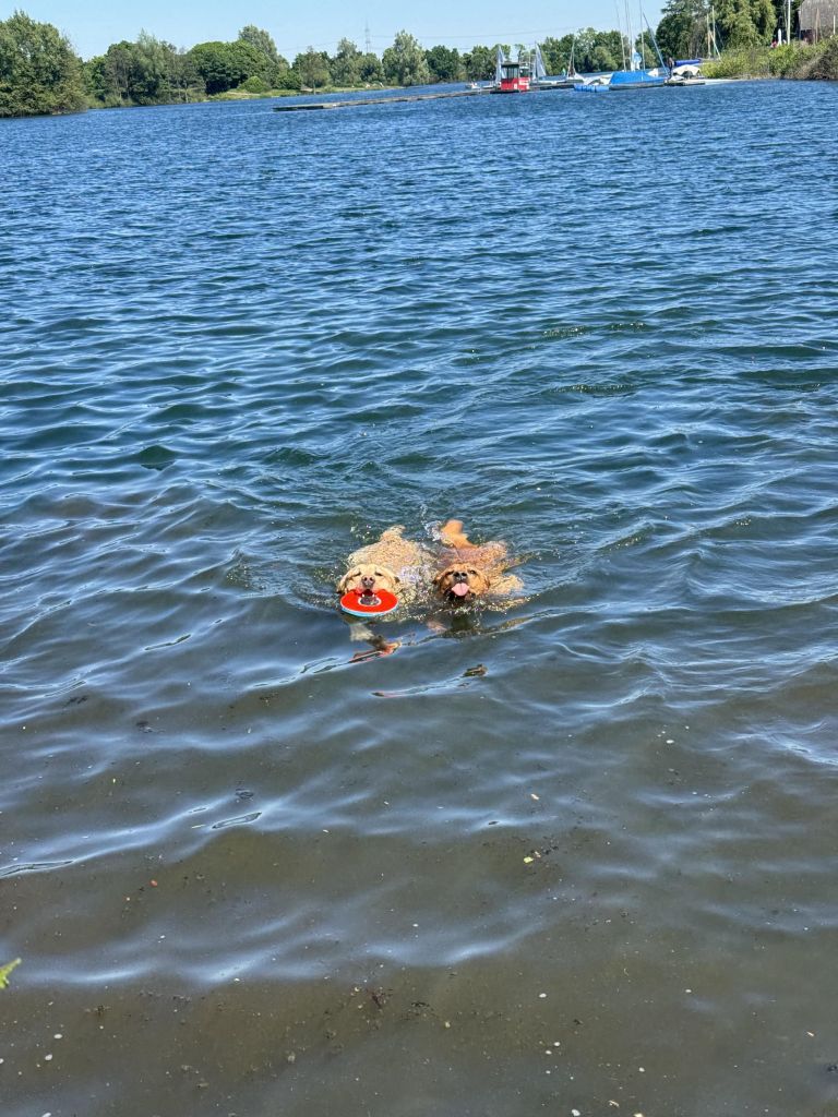 IMG_6343.jpeg