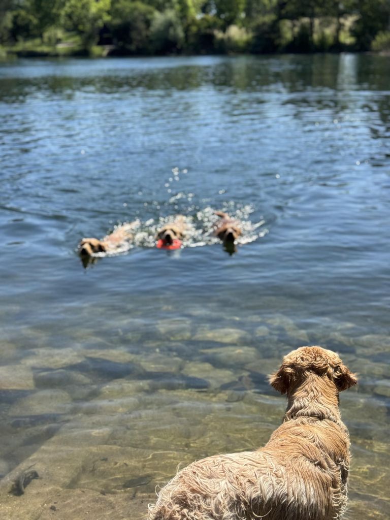 IMG_6353.jpeg