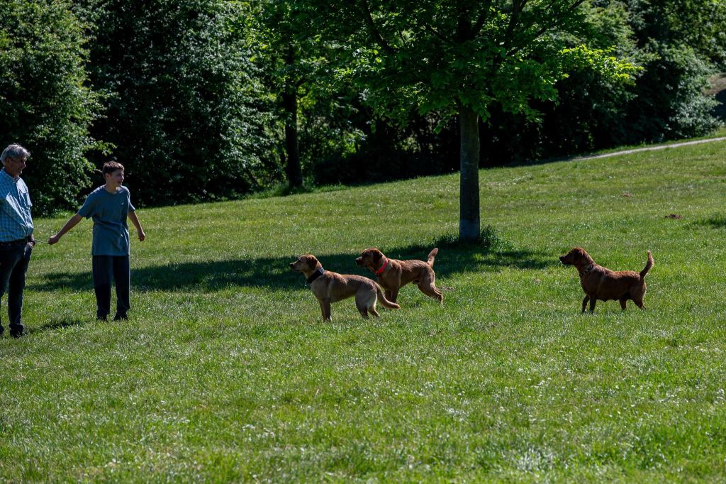 US_20250510_63393-web.jpg